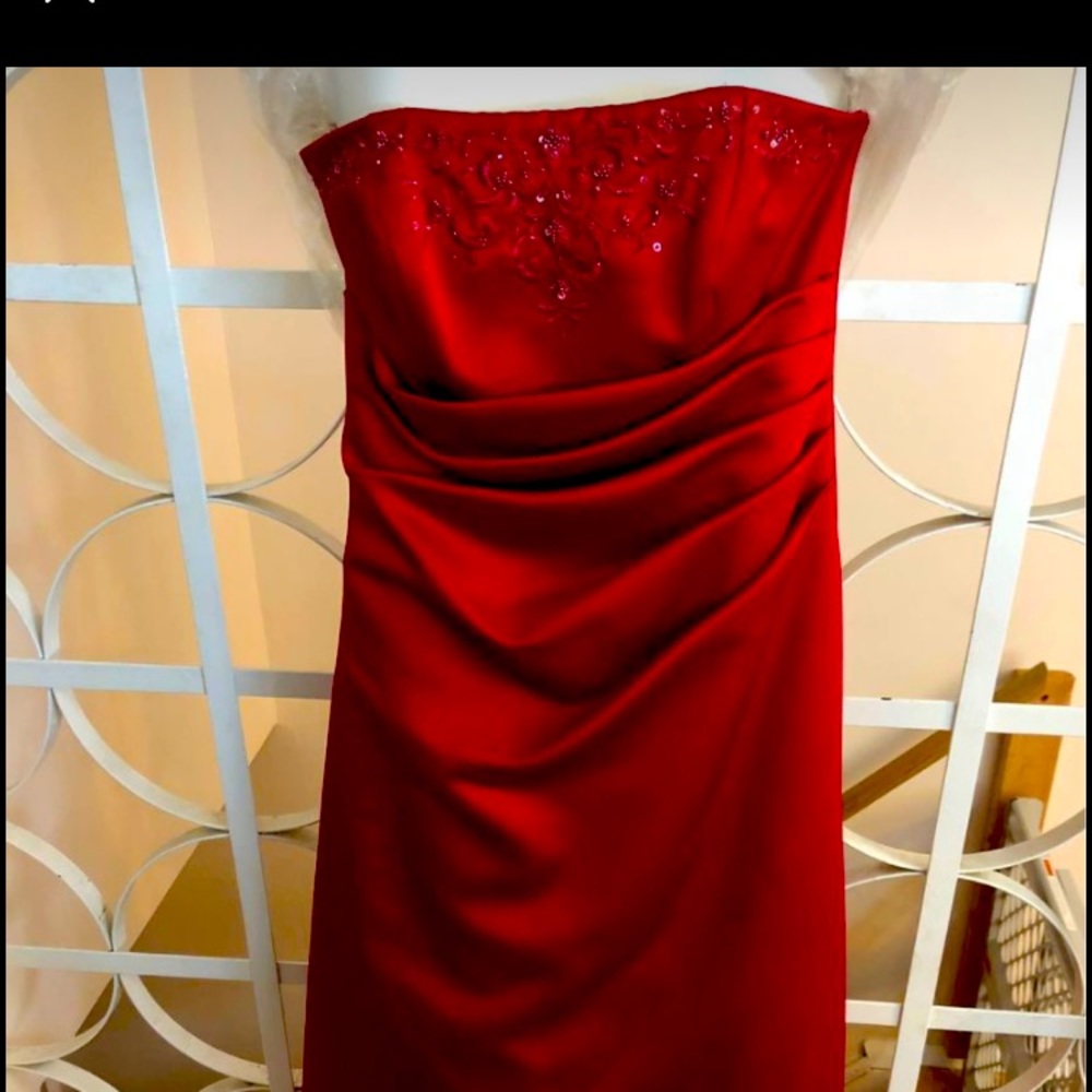 David’s Bridal Formal Gown